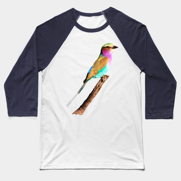 Colourful Lilac-breasted Roller Baseball T-Shirt by scotch